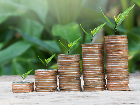Islamic Impact Investment: From principle to practice